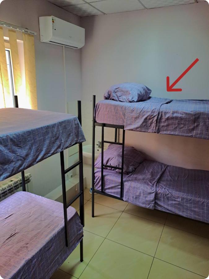 Fox Park Hostel Almati Kültér fotó