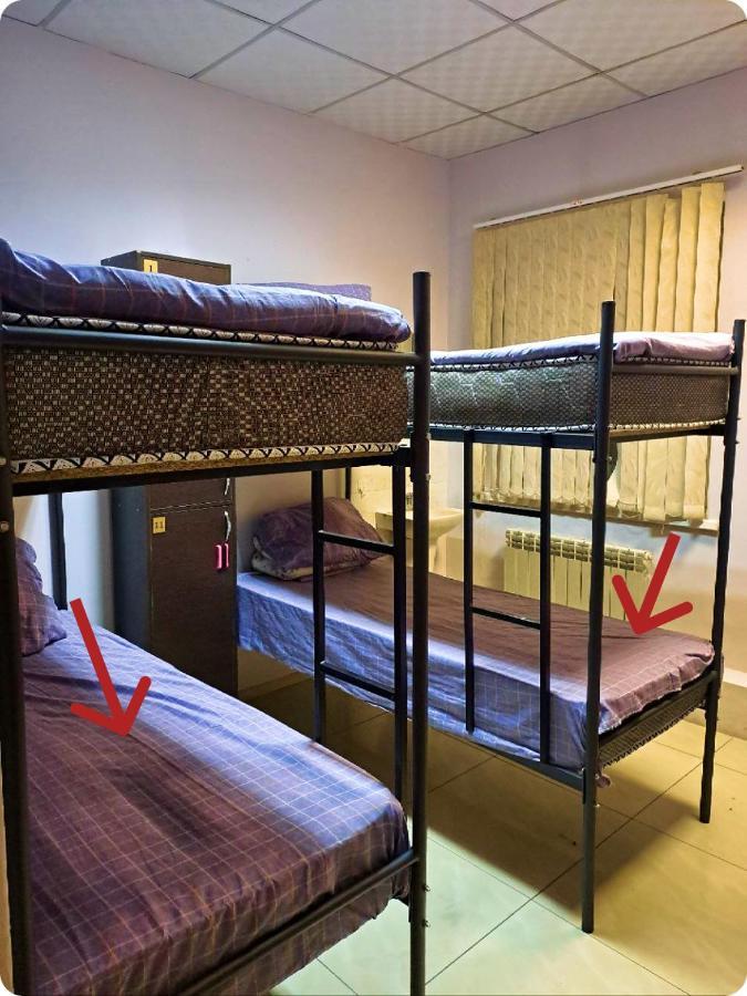 Fox Park Hostel Almati Kültér fotó