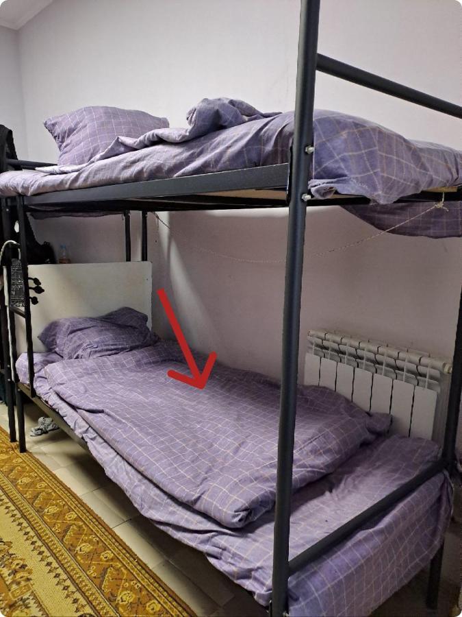 Fox Park Hostel Almati Kültér fotó