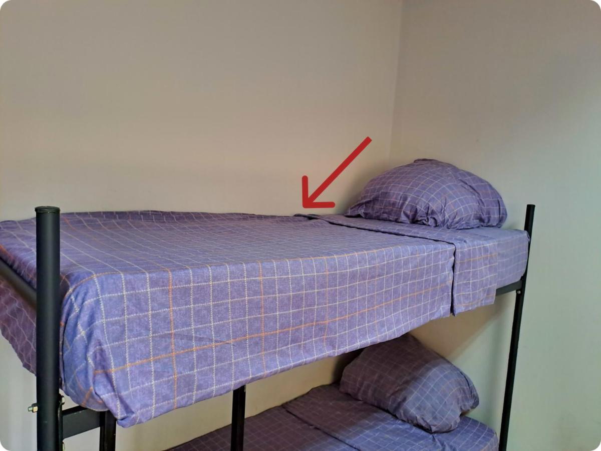 Fox Park Hostel Almati Kültér fotó