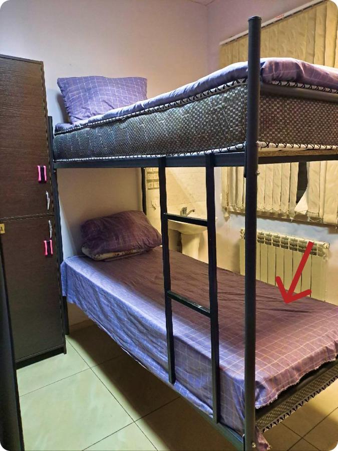 Fox Park Hostel Almati Kültér fotó